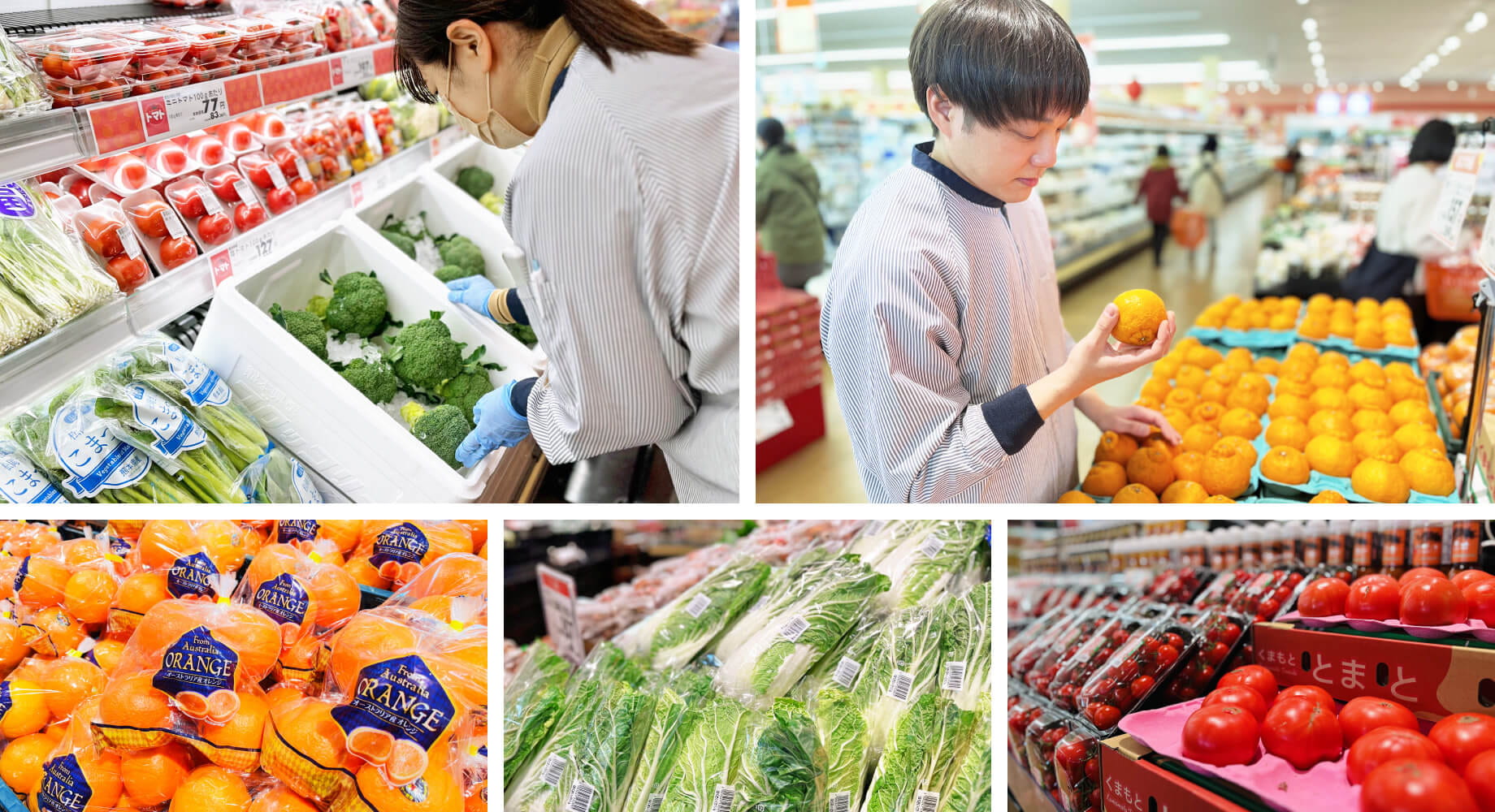 お客様が必要とされる商品が「あたりまえ」のように陳列されている売り場の風景